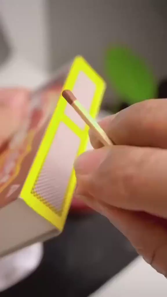 Rechargeable Electric Plasma Lighter-Windproof & USB Charging